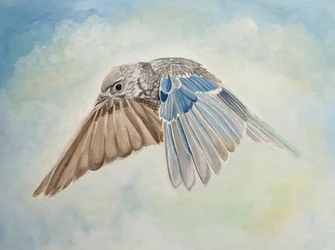 Fliegender Blauer Vogel