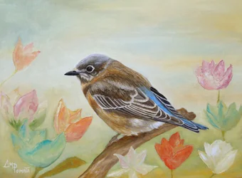 Frühlingsvogelblüte