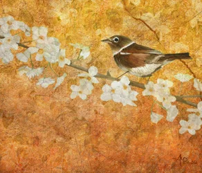 Frühlingsvogel und Blüte