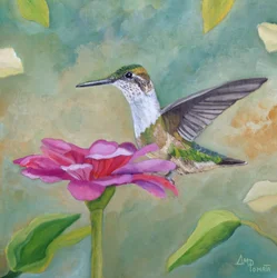Leuchtender Kolibri und Zinnie