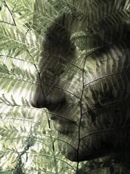 Botanisches Gesichtsprofil