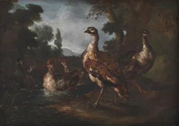 Landschaft mit Vögeln