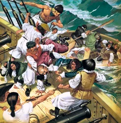 Schiffswrack!: Ein königliches Schiffswrack