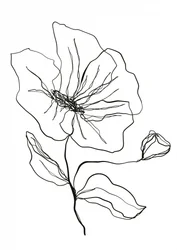 Zarte Blumenskizze