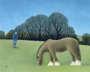 Das Shire-Pferd