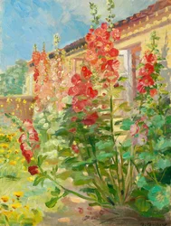 Rote Stockrosen im Garten der Familie Ancher in Markvej, Skagen