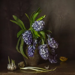 Rustikale Hyazinthen und Knoblauch
