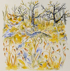 Fuchs im Wald, 2023