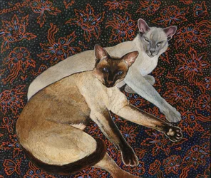 Merlin und Meilo Auftrag, 2018