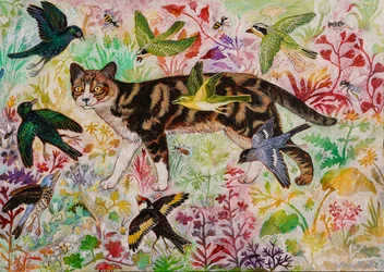Tabby und die Vögel, 2019