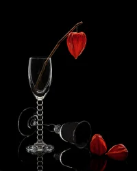 Glas und Physalis Stillleben