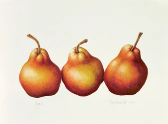 Birnen, 2000