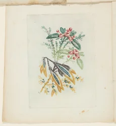 Platte, aus Neue Suite von Notizbüchern idealer Blumen für den Gebrauch von Zeichnern und Malern