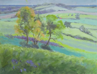 Nach Winchelsea, Sussex, mit Glockenblumen im Frühling