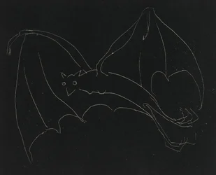 Nachtserie: Die Fledermaus