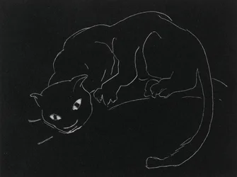 Nachtserie: Die Katze