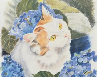 Türkische Van-Katze