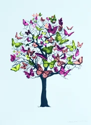 Schmetterlingsblüte, 2016