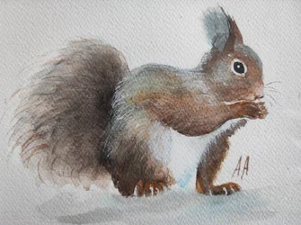 Charmantes Rotes Eichhörnchen