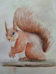 Niedliches Rotes Eichhörnchen