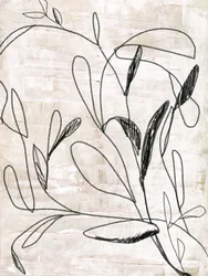 Botanische Linienzeichnung