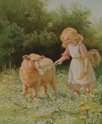 Auf der Wiese