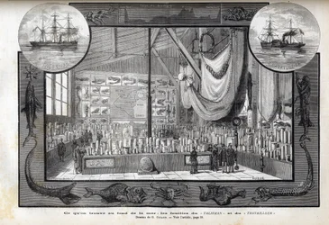 Ausstellung im Naturhistorischen Museum von Paris der Sammlungen, die während der Kreuzfahrten gebildet wurden - Wissenschaftliche Expeditionen des Arbeiters und des Talismans in den Jahren 1880
