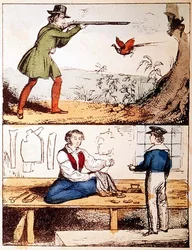 Hic, Hoc, Aaskrähe