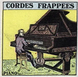 Musikinstrumente: geschlagene Saiteninstrumente. Ein Klavierspieler. Anonyme Illustration von 1925. Private Sammlung.