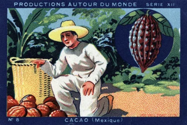 Produktionen rund um die Welt: Kakao in Mexiko. Chromolithographie von 1933 in „Joseph-Milliat Album“