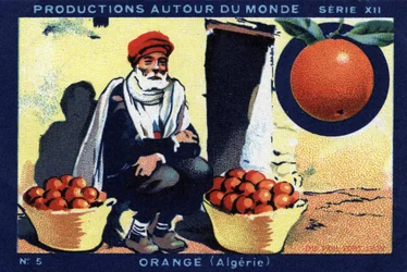 Produktionen rund um die Welt: Orange in Algerien. Chromolithografie von 1933 im „Joseph-Milliat-Album“