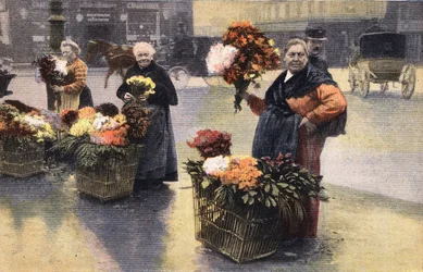 Die Chrysanthemen-Party: Chrysanthemenhändler auf der Straße. Gravur. Eine der Zeitungen "Le petit parisien" vom 20.11.1910. Private Sammlung.