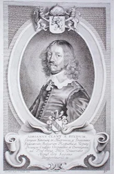 Adriaen Klant van Stedum, aus 