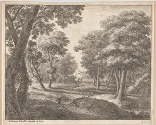 Ein Pfad durch den Wald