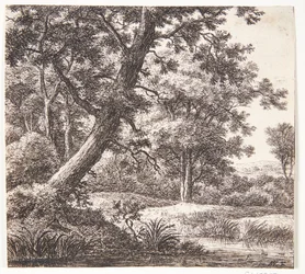 Bach mit einem geneigten Baum