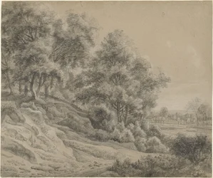 Bäume in einer hügeligen Landschaft