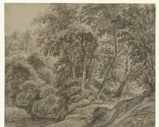 Waldansicht außerhalb von Nijmegen