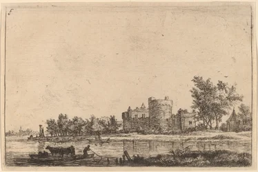 Zwei Kühe auf einer Fähre