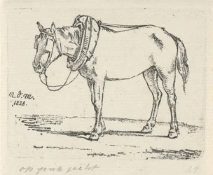 Geschmücktes Pferd