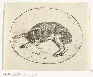 Liegender Hund