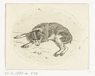 Liegender Hund