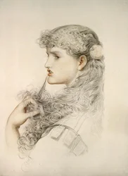Stolze Maisie