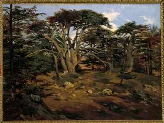 Die alten Zedern auf dem Libanonberg bei Boumana. Gemälde von Antoine Alphonse Montfort (1802-1884) 19. Jahrhundert. Paris, Musée d