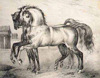 Die Pferde, die Louis Philippe, dem Herzog von Orleans, in der Schlacht von Valmy ritten, gestochen von Victor Adam, ca. 1834-38