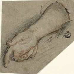 Rückseite der Hand und des Unterarms