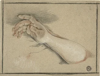 Hand und Unterarm