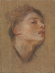 Kopf eines jungen Mannes, 1715-1717