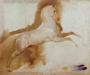 Pferd von Joachim Murat, ca. 1832