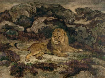 Löwe liegend