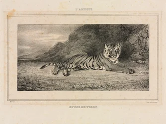 Studie eines Tigers, 1832